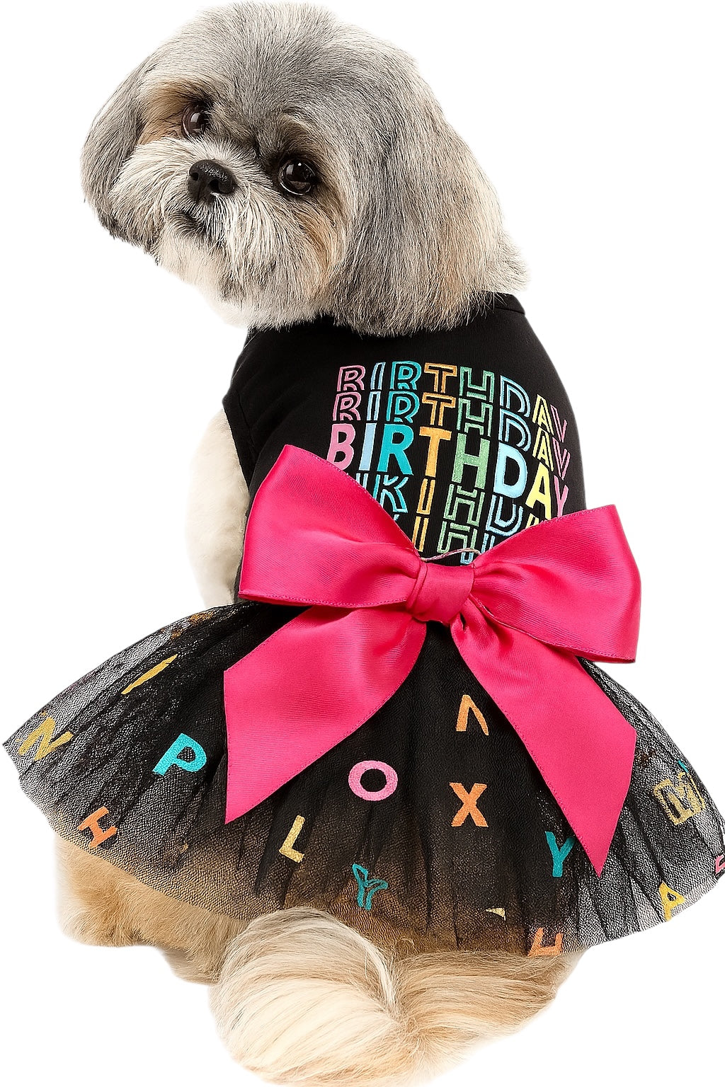 KUTKUT Small Dog Dress Birthday Frock for Small Dogs & Cats &  Alphabet Colorful Print Mesh Girl Dog Dress &  Summer Tutu Princess Pet Puppy Clothing
