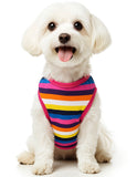 KUTKUT Rainbow Color Stripe Print Cotton Sleeveless T-Shirt for Small Dog Shish Tzu, Lhasa, Poodle, Maltipoo Clothes