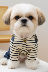 KUTKUT Small Dog Outfits Denim Dogs Overalls Classic Stripe Shirts Bib Pants for Cats Cool Dog Clothes Doggie Jean Jumpsuit Onesie Puppy T-Shirt Apparel with Pocket.