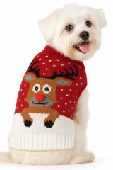 KUTKUT Small Dog Cat Knitted Sweater | Breathable Crochet Knit Pullover | Sweater shirt Jumper for Puppy Dogs Maltese, ShihTzu etc. and Cats