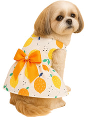 KUTKUT Small Girl Dog & Cat Summer Dress with Lovely Bow Pet Apparel | Puppy Dress Birthday Pet Apparel Dress | Frock Dress For ShihTzu, Poodle etc