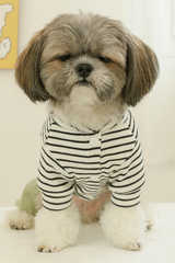 KUTKUT Dog Clothes Striped OnesieShirt, Cute Dog Pajamas Bodysuit Coat Jumpsuit Overalls Soft Comfort Pjs Apparel Winter Costume, Dog Outfit for Small Dogs Cats Kitten Green