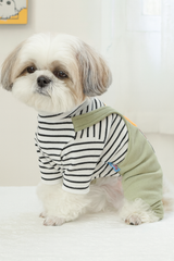 KUTKUT Dog Clothes Striped OnesieShirt, Cute Dog Pajamas Bodysuit Coat Jumpsuit Overalls Soft Comfort Pjs Apparel Winter Costume, Dog Outfit for Small Dogs Cats Kitten Green