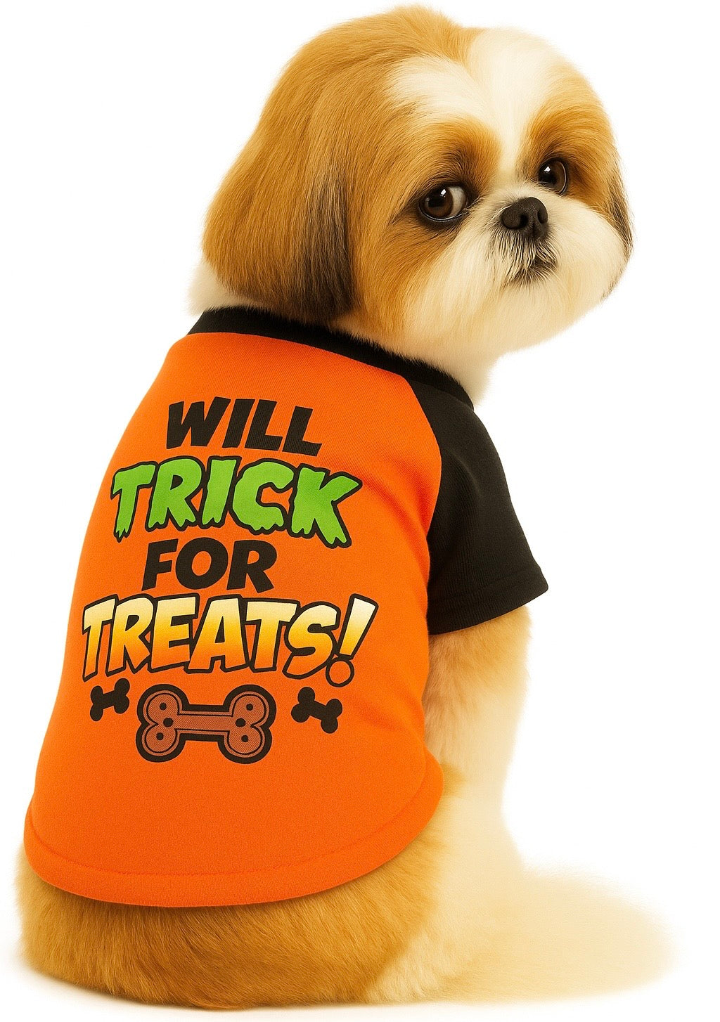 KUTKUT Small Dog & Cat Haloween T-Shirt | Breathable Trick for Treats Printed Half Sleeves Tee Shirt for Small Dogs Chihuahua, Yorkie Shih Tzu (Orange, Size: L, Chest Girth 46 cm, Back Length 36 cm)