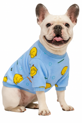 KUTKUT Fleece Dog Hoodie, Soft Flannel Dog Sweatshirt Clothes for Puppy Small Dogs, Cute Duck Winter Clothes for French Bulldog, Shih Tzu, Poodle etc.