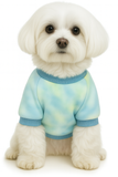 KUTKUT Small Dog Cat Flannel Fleece Sweater,Winter Plush Thickned Warm Breathable Pullover with Leash Ring Buckle for Pekingese, Papillon etc & Small Dogs Cats