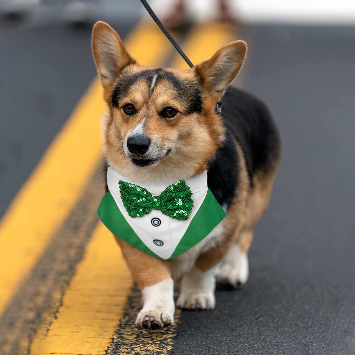 KUTKUT Dog Tuxedo,Pet Green Collar Puppy Costume Adjustable Dog Bandana Scarf Doggie Bibs, Irish Lucky Dress-Up Dog Bow Tie with D-Ring for Small Dogs-Bandana-kutkutstyle
