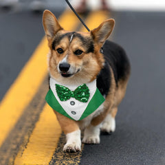 KUTKUT Dog Tuxedo,Pet Green Collar Puppy Costume Adjustable Dog Bandana Scarf Doggie Bibs, Irish Lucky Dress-Up Dog Bow Tie with D-Ring for Small Dogs - kutkutstyle