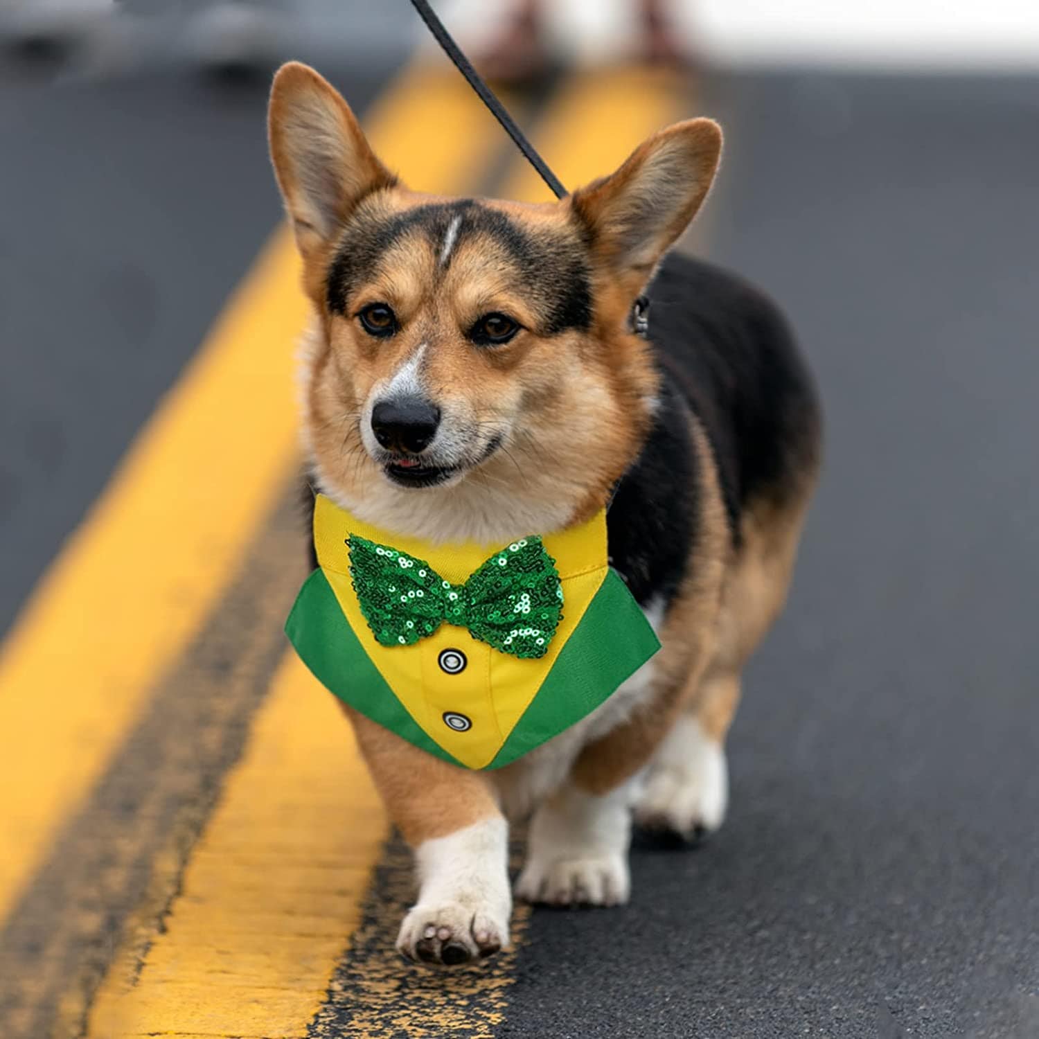 KUTKUT Dog Tuxedo,Pet Yellow Collar Puppy Costume Adjustable Dog Bandana Scarf Doggie Bibs, Irish Lucky Dress-Up Dog Bow Tie with D-Ring for Small Dogs-Bandana-kutkutstyle