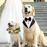 KUTKUT Formal Dog Tux Bandana | Dog Wedding Bandana, Adjustable Dog Bowtie Collar Bandana, Adjustable Neckerchief for Small Dogs & Cats. - kutkutstyle