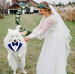 KUTKUT Formal Dog Tuxedo Bandana | Dog Wedding Bandana, Adjustable Dog Bowtie Collar Bandana, Adjustable Neckerchief for Small Dog and Cat. - kutkutstyle
