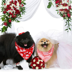 KUTKUT Valentine's Day Dog Bandana Reversible Triangle Bibs Scarf Accessories for Small Medium Large Dogs Cats Pets (Size: 70 x 48 x 48 cm) - kutkutstyle
