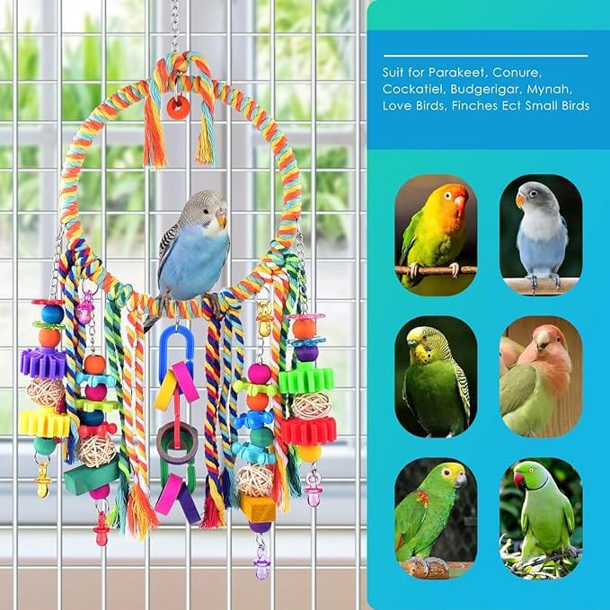 KUTKUT Bird Toys, Bird Swing Toy Bird Perch with Colorful Chewing Toys, Suitable for Lovebirds, Finches, Parakeets, Budgerigars, Conure ect Small Birds-Bird Nest House-kutkutstyle