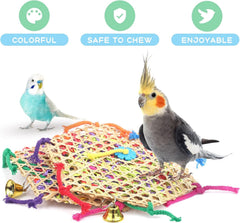 KUTKUT Pack of 2pcs Bird Parrot Toys, Bird Hanging Foraging Shredder Toys for Small Medium Small Bird Conure Cockatiel Parrotlet Lovebird Budgie-Bird Nest House-kutkutstyle
