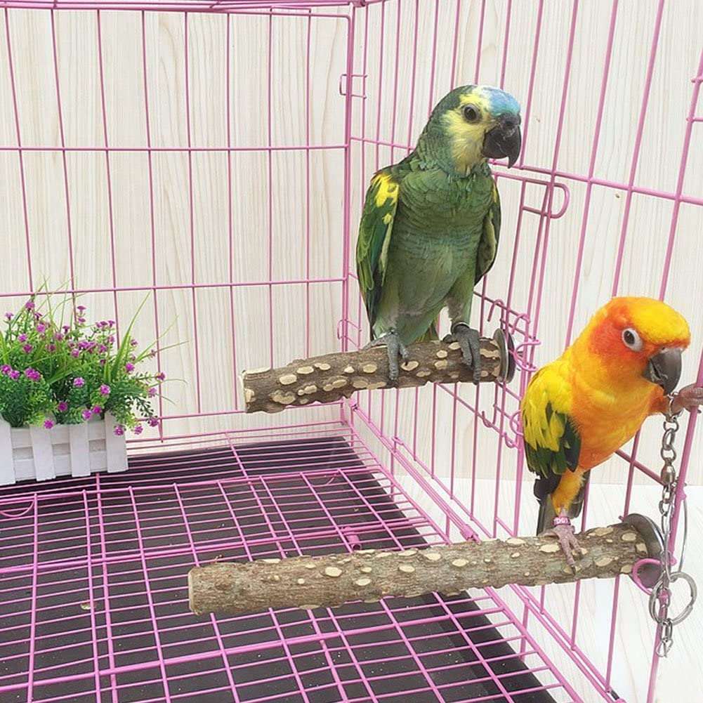 8 PCS Natural Wood Bird Perch Stand-Wooden Parrot Perch Stand-Perch  Platform Cage Accessories for Parrotlets Budgies Cockatiels Parakeets  Lovebirds