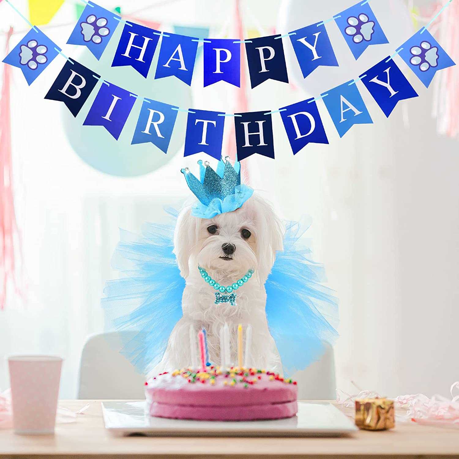 KUTKUT 4 Pieces Cute Dog Birthday Outfit with Pet Tutu Skirt Puppy Pearl Necklace Dog Crown Hat and Happy Birthday Banner for Puppy Dog Pet Cat Girl Birthday Party Supplies (Blue) - kutkutsty