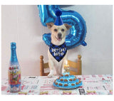 KUTKUT Dog Birthday Bandana Hat Set | Dog Birthday Party Supply | Dog Bandana Boy Girl Birthday Hat Scarf for Small Medium & Large Dog Pet - kutkutstyle