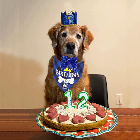 KUTKUT Dog Birthday Hat Bandana - Dog Birthday Party Supplies Birthday Dog Hat with Numbers Dog Scarf Bow and Happy Birthday Banner Set - kutkutstyle