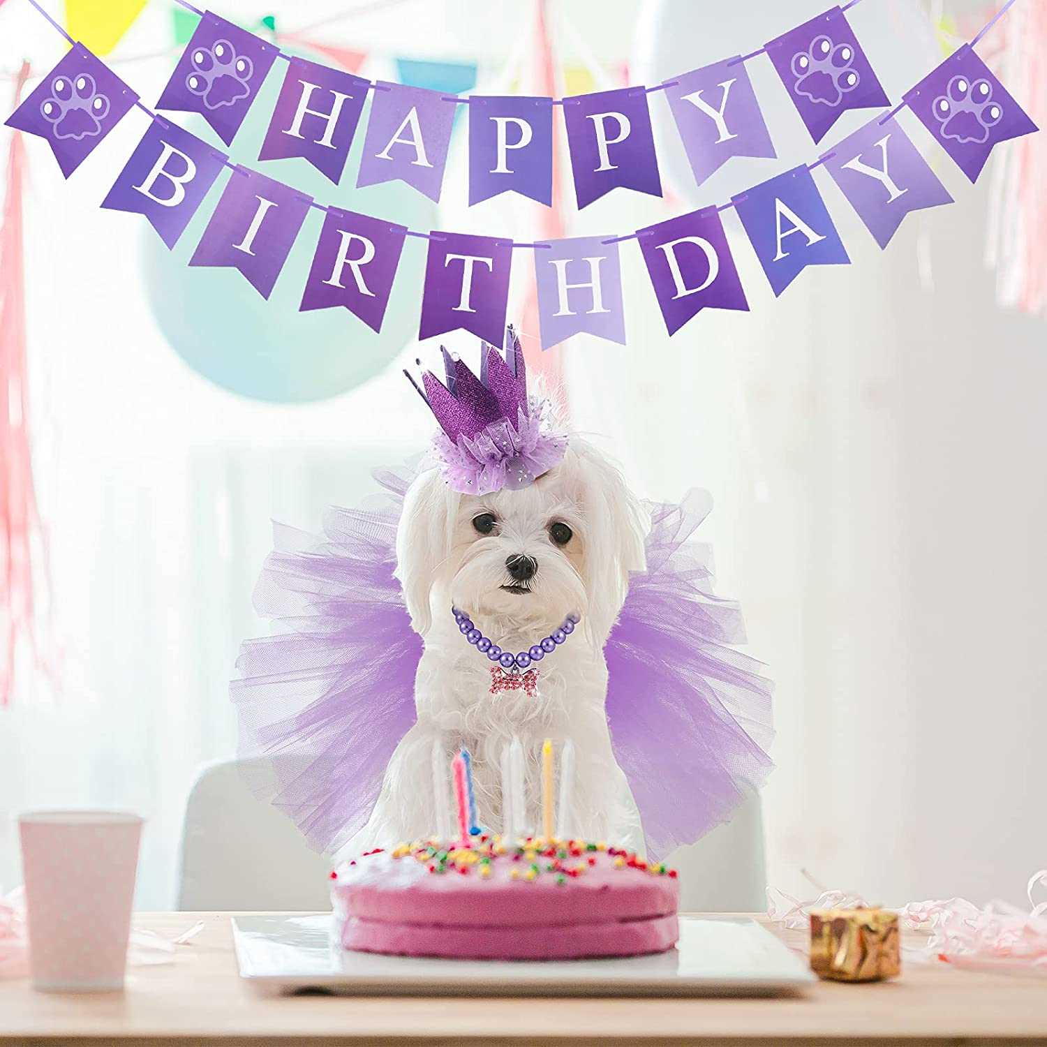 KUTKUT 4 Pieces Cute Dog Birthday Outfit with Pet Tutu Skirt Puppy Pearl Necklace Dog Crown Hat and Happy Birthday Banner (Purple) - kutkutstyle