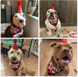 KUTKUT Boy Bandana and Hat Set “Birthday Boy” Print Plaid Dogs Party Supplies Triangle Scarf Bibs for Small Medium Large Pets Red - kutkutstyle