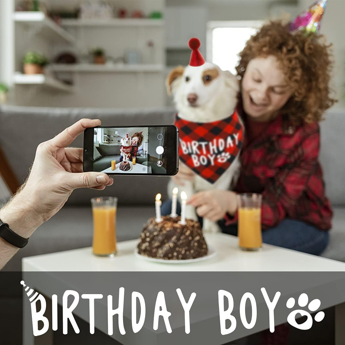 KUTKUT Boy Bandana and Hat Set “Birthday Boy” Print Plaid Dogs Party Supplies Triangle Scarf Bibs for Small Medium Large Pets Red - kutkutstyle