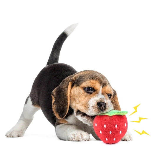 KUTKUT Cute Pet Dog Cat Strawberry Shape Squeak Sound Plush Dog Toys Funny Fleece Durability Chew Molar Toy Fit for All Pets - kutkutstyle