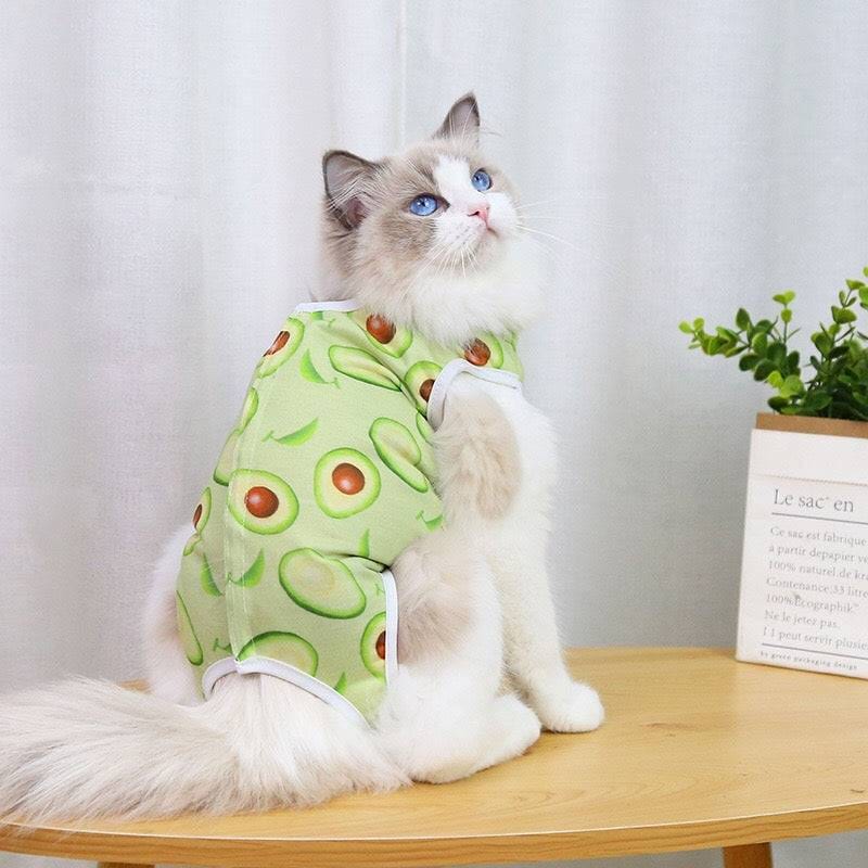 KUTKUT Cats Dog Sterilization Suit, Cat Surgery Recovery Suit | Physiological Poly Cotton Breathable Clothes for Abdominal Wounds or Skin Diseases Hook & Loop Closure Costume  (Green) - kutku