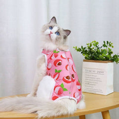 KUTKUT Cats Dog Sterilization Suit, Cat Surgery Recovery Suit | Physiological Poly Cotton Breathable Clothes for Abdominal Wounds or Skin Diseases Hook & Loop Closure Costume  (Pink) - kutkut