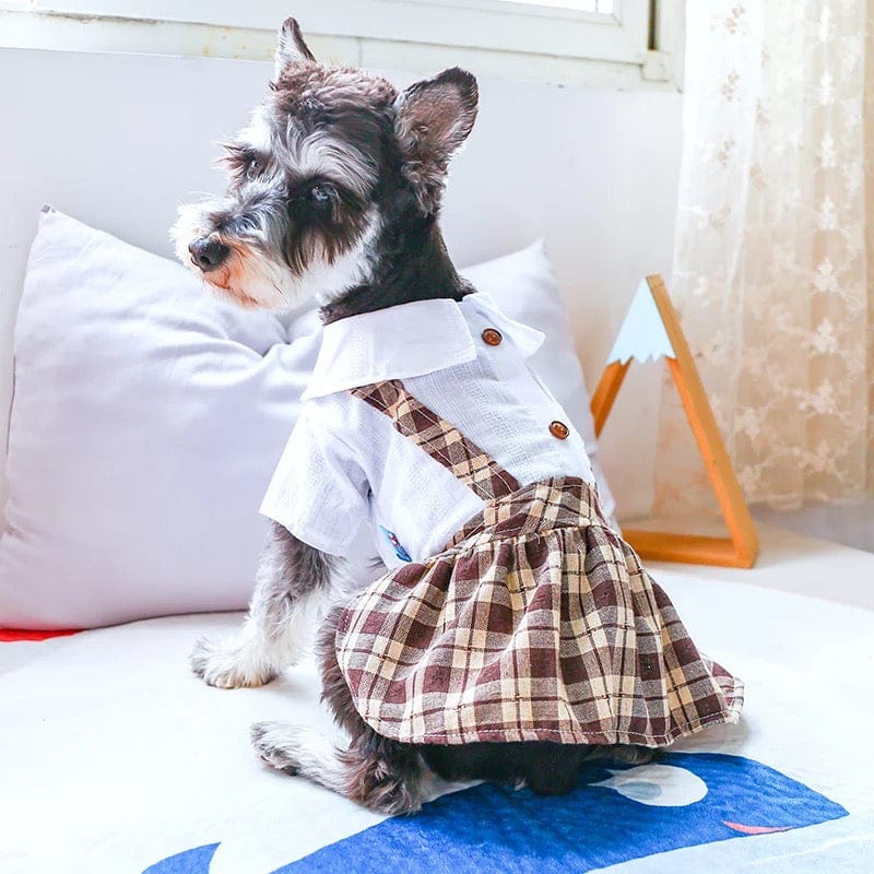 KUTKUT Coffee Plaid Bib Dress for Puppy, Small Dogs & Cats, Breathable Summer Cute Collar with Checkered Skirt Dress for Yorkie, Maltese (Multi) - kutkutstyle