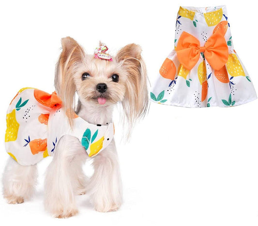 KUTKUT Cute Lemon Pattern Dog Dress with Lovely Bow Pet Apparel Dog Clothes for Small Dogs and Cats | Puppy Summer Dress Birthday Pet Apparel Dress ( Orange ) - kutkutstyle