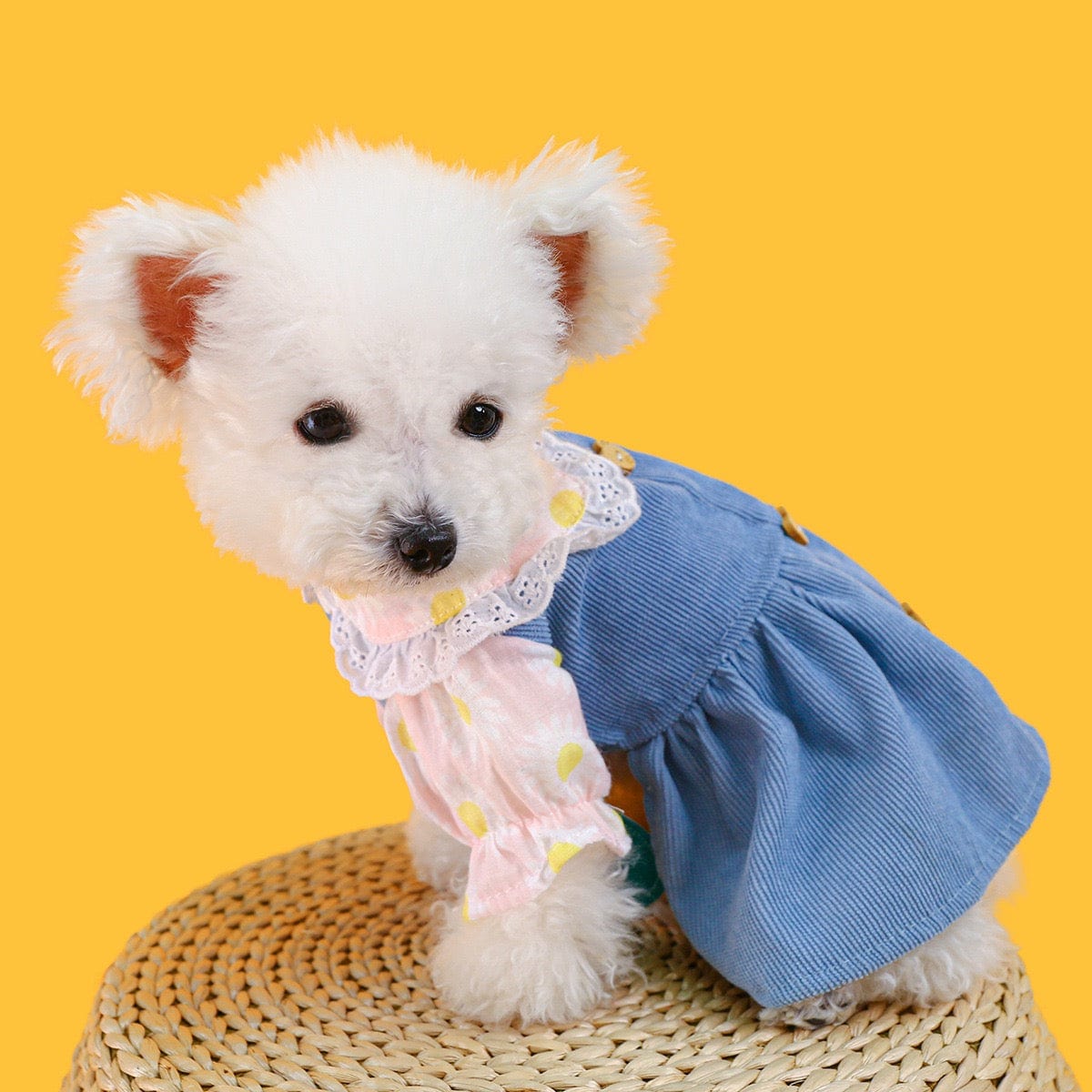 KUTKUT Cute Soft Bear Button Floral Dress for Small Dogs and Cats, Brethable Summer Dress for Yorkie, Maltese and Other Small Dogs (Blue) - kutkutstyle