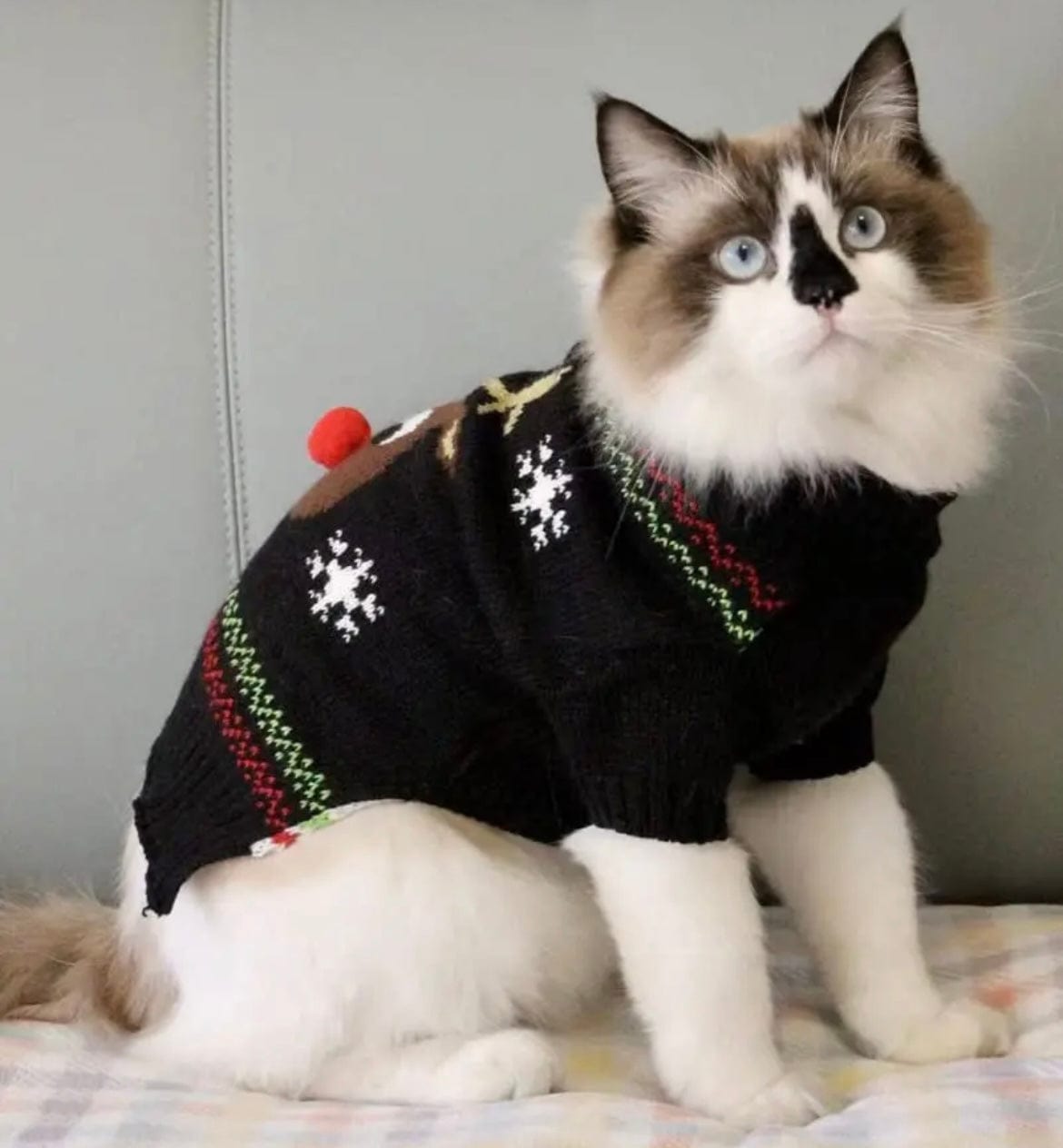 KUTKUT Dog Christmas Sweater Soft Warm Fall Winter Turtleneck Knitted Puppy Clothes Cute Reindeer Black Xmas Short Sleeves Clothing for Small Medium Dogs Cat - kutkutstyle