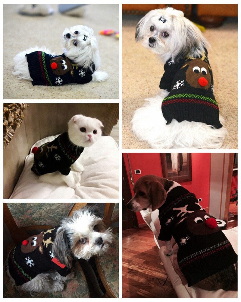 KUTKUT Dog Christmas Sweater Soft Warm Fall Winter Turtleneck Knitted Puppy Clothes Cute Reindeer Black Xmas Short Sleeves Clothing for Small Medium Dogs Cat-Clothing-kutkutstyle