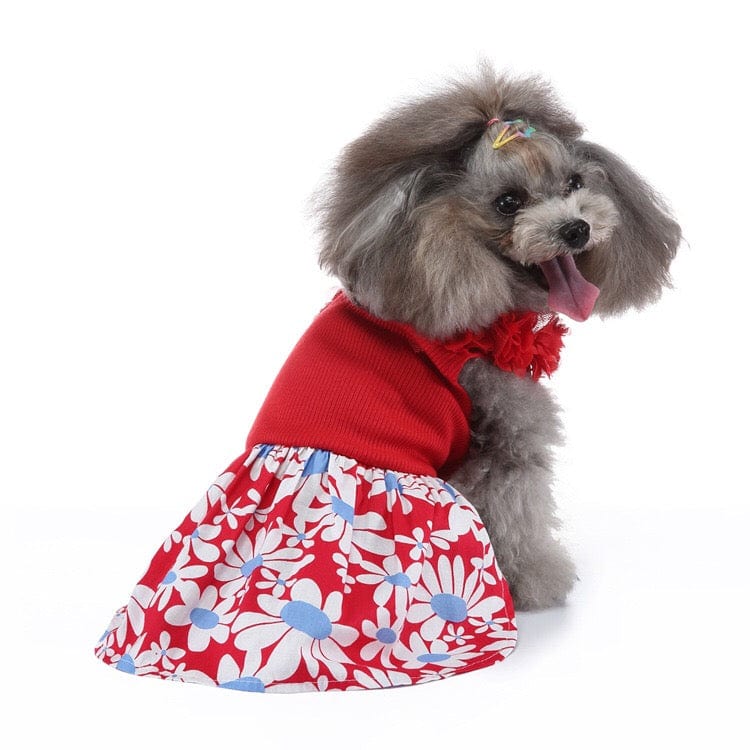 KUTKUT Dog Frock Dress for Small Dogs - Floral Print Small Puppy Dress Summer Sleeveless Dog Apparel Dog Cloth for Small Dog Girls ( Red )-Clothing-kutkutstyle
