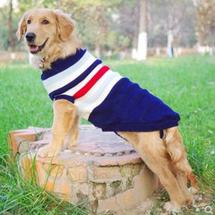 KUTKUT Dog Sweater | Warm Strip Dog Winter Knitwear Clothes with Elastic Leg Bands | Soft Acrylic Knitted Pet Pullover for Small Medium Large Doggy (Blue) - kutkutstyle