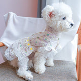 KUTKUT Flowers Decor Eelgant Lace Princess Dress for Small Dogs | Cute Summer Skirt Dress for Shish Tzu, Bichon, Maltese etc - kutkutstyle