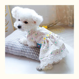 KUTKUT Flowers Decor Eelgant Lace Princess Dress for Small Dogs | Cute Summer Skirt Dress for Shish Tzu, Bichon, Maltese etc - kutkutstyle