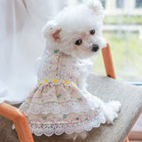 KUTKUT Flowers Decor Eelgant Lace Princess Dress for Small Dogs | Cute Summer Skirt Dress for Shish Tzu, Bichon, Maltese etc - kutkutstyle