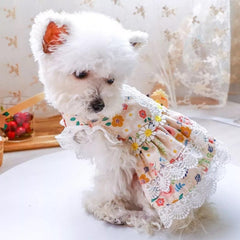 KUTKUT Flowers Decor Eelgant Lace Princess Dress for Small Dogs | Cute Summer Skirt Dress for Shish Tzu, Bichon, Maltese, Pug etc. (Multi) - kutkutstyle