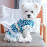 KUTKUT Flowers Decor Eelgant Lace Princess Dress for Small Dogs | Cute Summer Skirt Dress for ShishTzu, Bichon, Maltese etc  ( Green ) - kutkutstyle