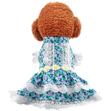 KUTKUT Flowers Decor Eelgant Lace Princess Dress for Small Dogs | Cute Summer Skirt Dress for ShishTzu, Bichon, Maltese etc  ( Green ) - kutkutstyle