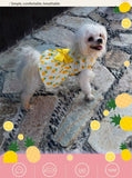 KUTKUT Fresh Pineapple Print Soft Comfortable Cotton Dress for Shih Tzu, Yorkie, Pug etc. Beautiful Cute Back not Strap Princess Skirt for Small Dogs (Yellow) - kutkutstyle