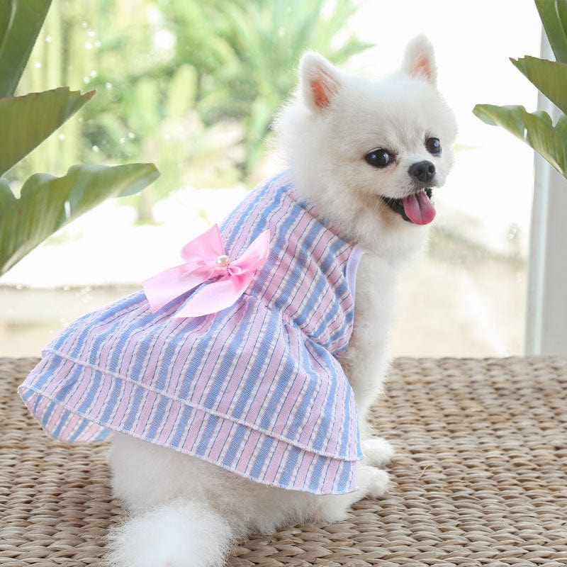 KUTKUT Frock Dress for Small Dog Girl Puppy Clothes Female Princess Tutu Striped Skirt Summer Shirt for Shih Tzu, Maltese Cat Pet Apparel Outfits - kutkutstyle