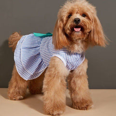 KUTKUT Frock Dress for Small Dog Girl Puppy Clothes Female Princess Tutu Striped Skirt Summer Shirt for Shih Tzu, Maltese Cat Pet Apparel Outfits (Blue) - kutkutstyle