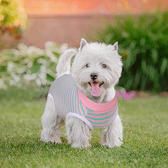 KUTKUT Kitten Puppy Recovery Suit, Surgery Recovery Suit for Female Dogs After Spay, Dog Cats Surgical Onesie with Pee Hole Collar Cone Alternative for Abdominal Wounds (Size: S, Chest: 35cm)
