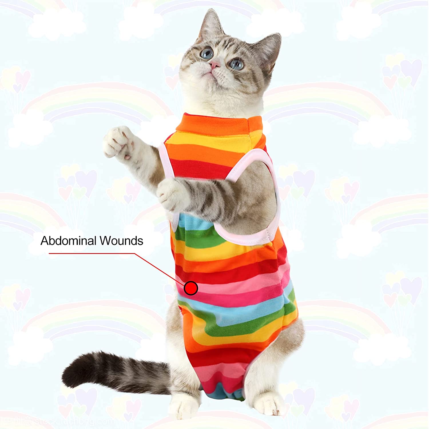KUTKUT Kitten Sterlization & Surgery Recovery Suit, Physiological Polycotton Breathable Clothes for Abdominal Wounds or Skin Diseases Hook & Loop Closure Costume for Kittens (Multi) - kutkuts