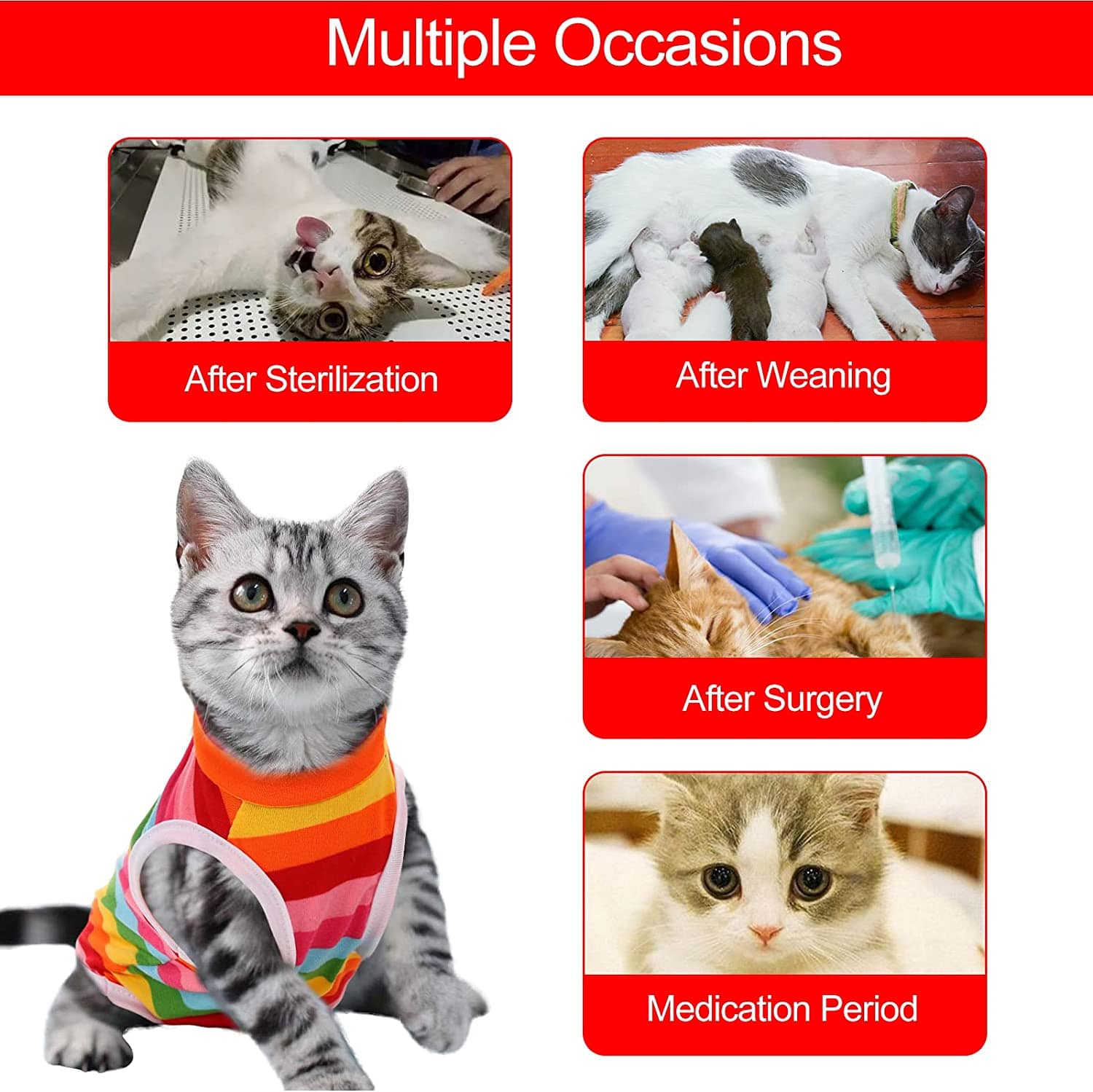 KUTKUT Kitten Sterlization & Surgery Recovery Suit, Physiological Polycotton Breathable Clothes for Abdominal Wounds or Skin Diseases Hook & Loop Closure Costume for Kittens (Multi) - kutkuts