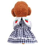 KUTKUT Lace Collar with Red Apple Checkered Print Dress for ShishTzu, Pug, Poodle & Small Dogs and Cats - kutkutstyle