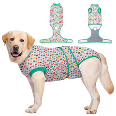 KUTKUT Large Dog Recovery Onsie, Pet Recovery Suit Doggy Bodysuits for Abdominal Wounds, Soft & Breathable Anti Licking Dogs Suit, Cone E-Collar Alternative for Skin Damage (Green) - kutkutst