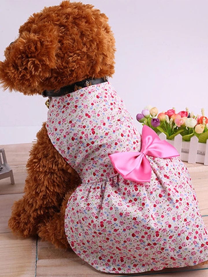 KUTKUT Lovely Floral Small Pet Frock | Ribbon Skirt for Small Dogs | Summer Clothing for Shih Tzu, Maltese, Yorkie Dog Wedding Dress (Pink) - kutkutstyle